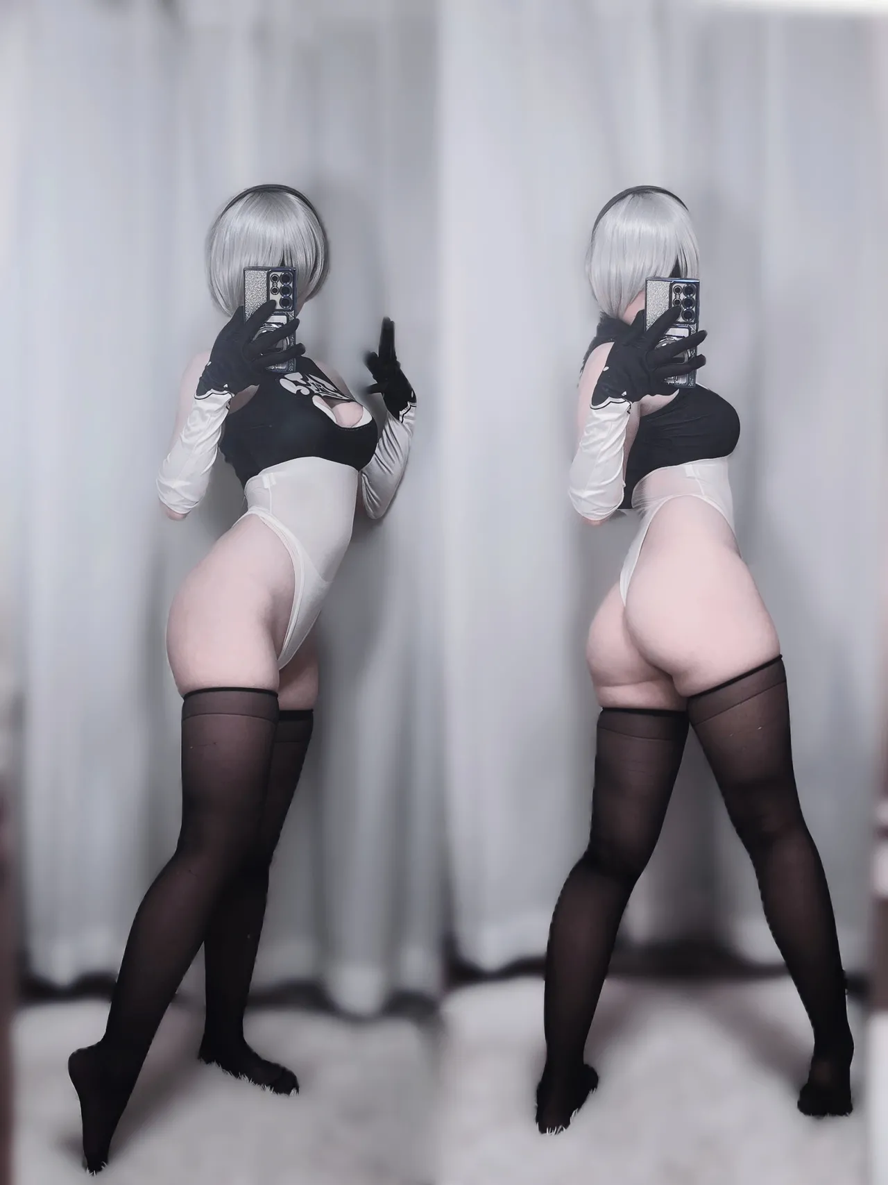 キツネ - 2B