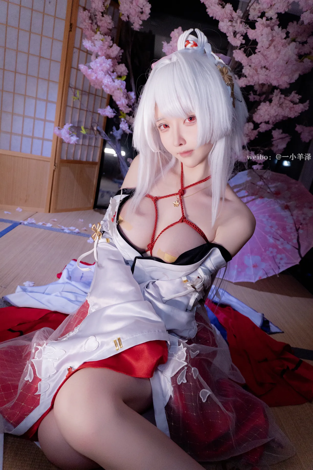 一小央泽 (yixiaoyangzew) - Hiyuki Wuthering Waves — Photo 55