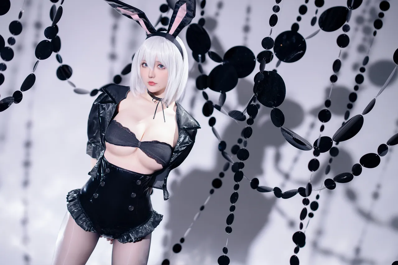 星之迟迟 - 25年3月计划C 尼尔：机械纪元 2B 兔女郎-erohere1.webp