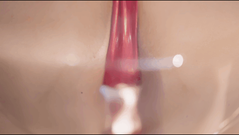 蠢沫沫 - Hololive 宝钟玛琳 船长-erohere265.gif