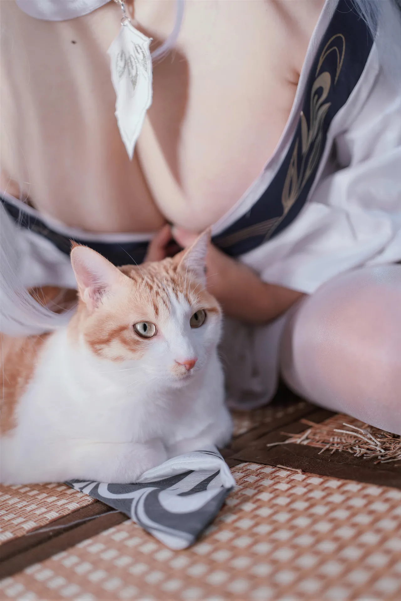 阿半今天很开心 - 碧蓝航线 白凤 和服-erohere22.webp