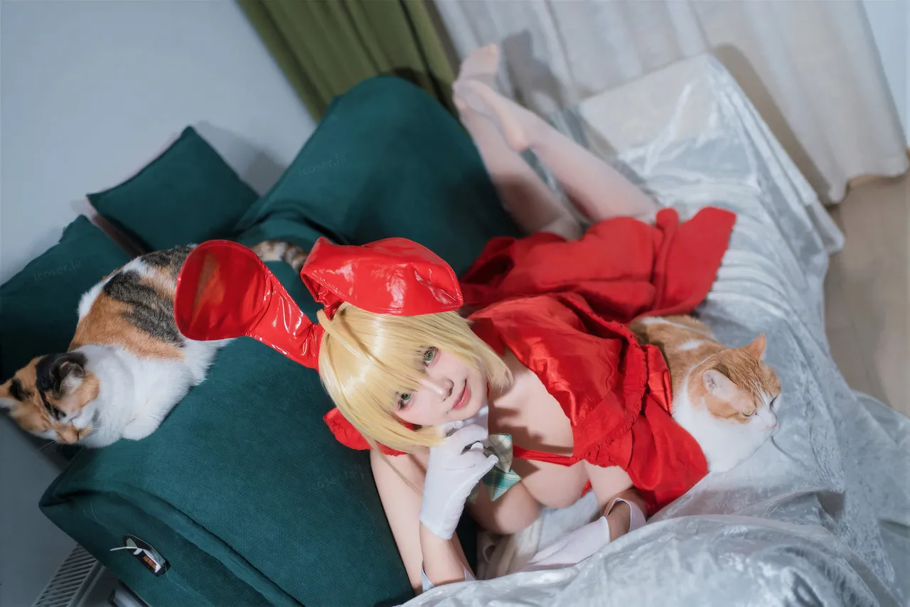 阿半今天很开心 FGO 尼禄圣诞节-erohere45.webp