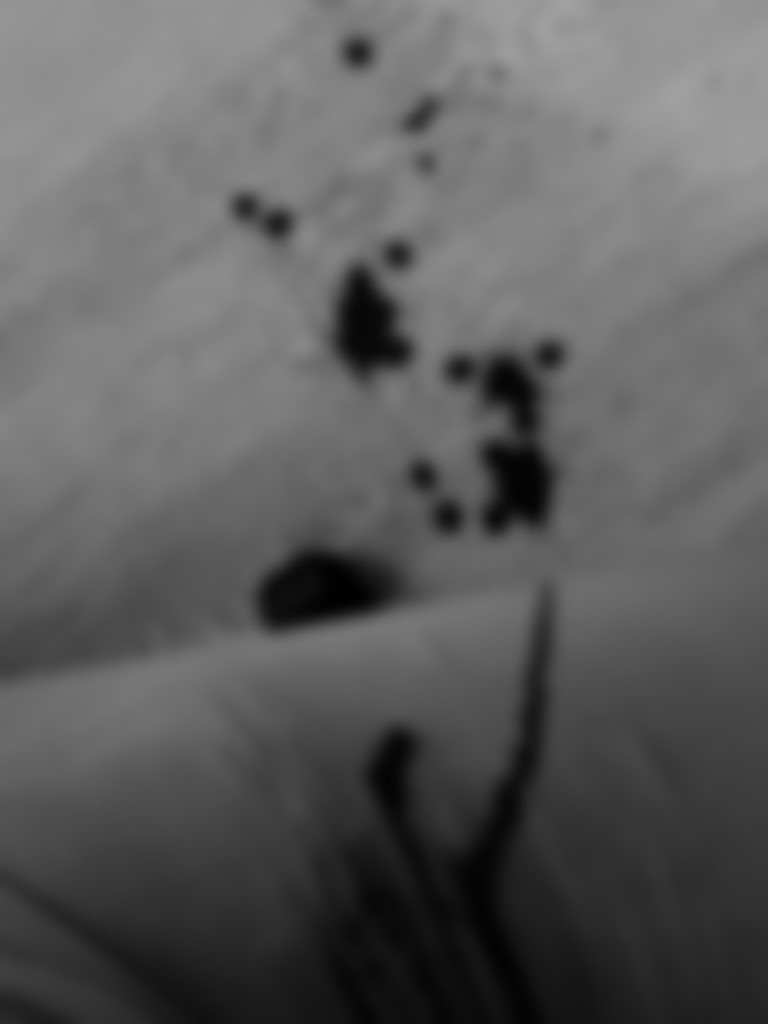 Fanbox Dal (@aazsxx2)-erohere287.jpg
