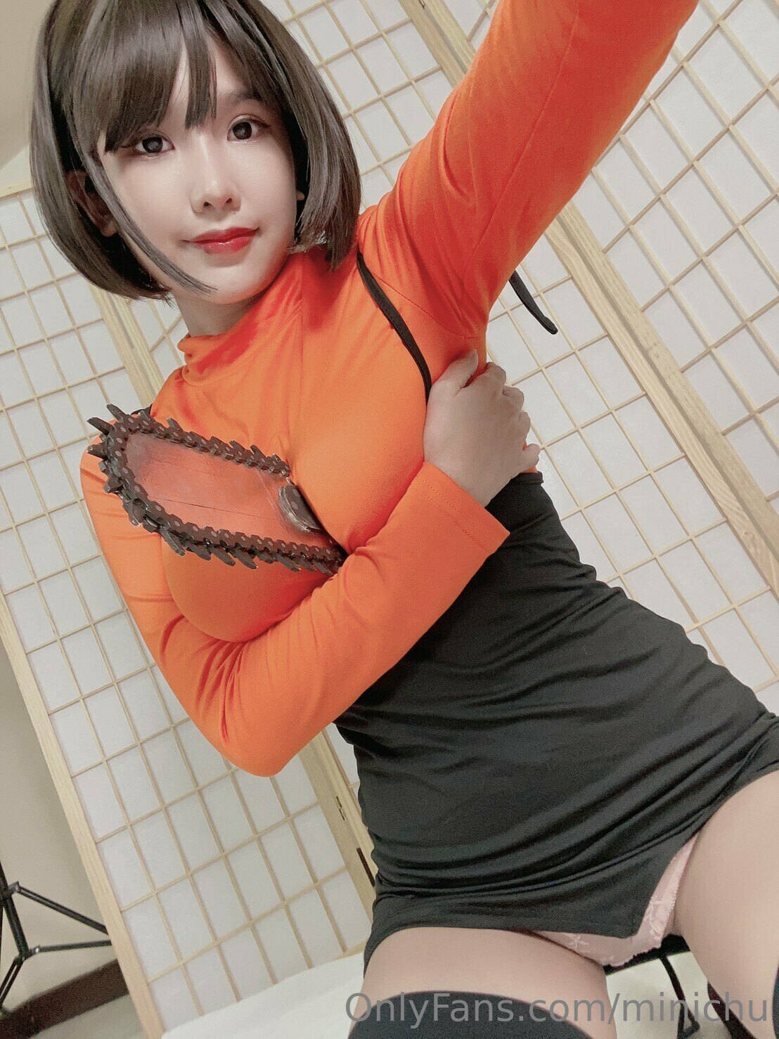 Minichu - Pochita-erohere6.jpg