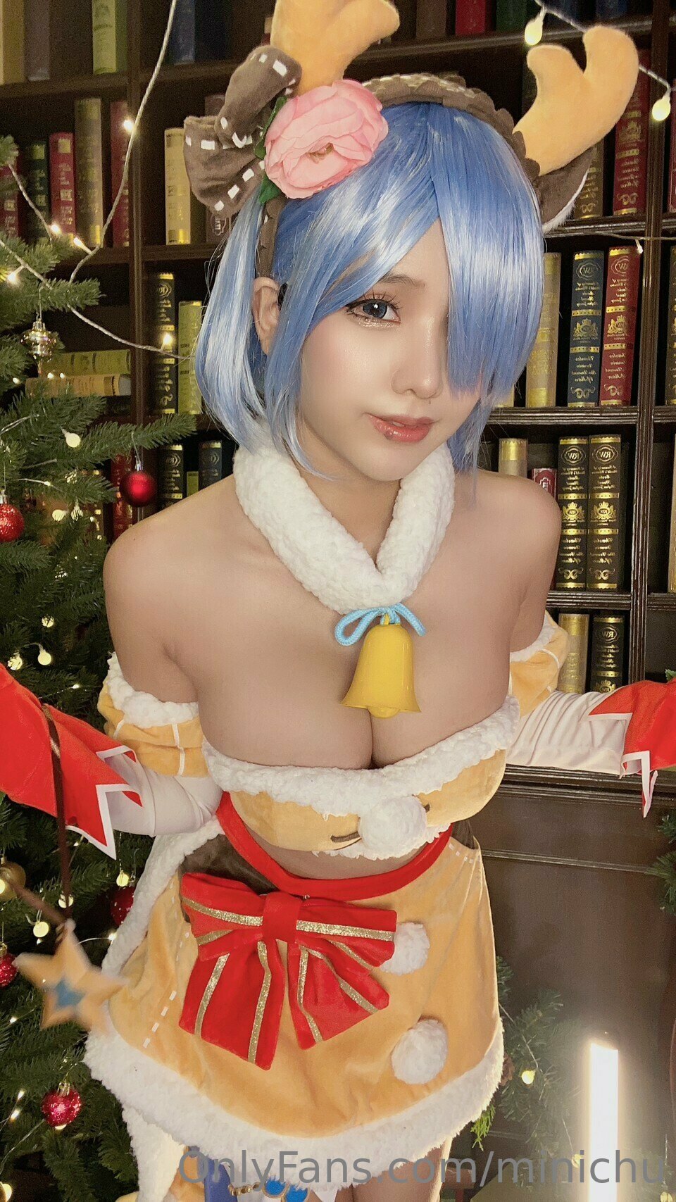 Minichu - Reindeer Rem-erohere3.jpg