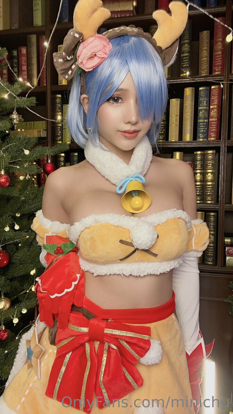 Minichu - Reindeer Rem-erohere5.jpg