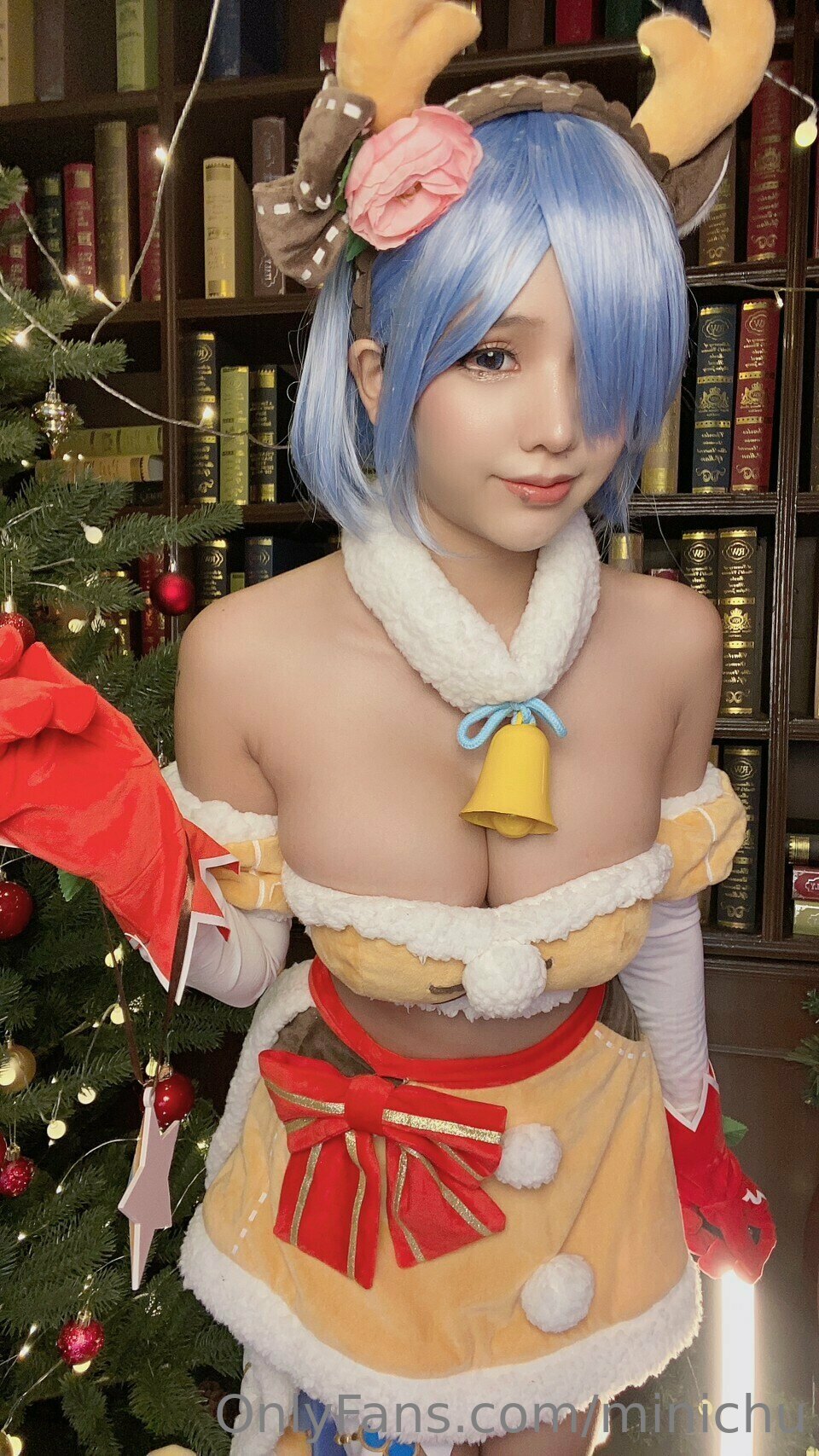 Minichu - Reindeer Rem-erohere6.jpg