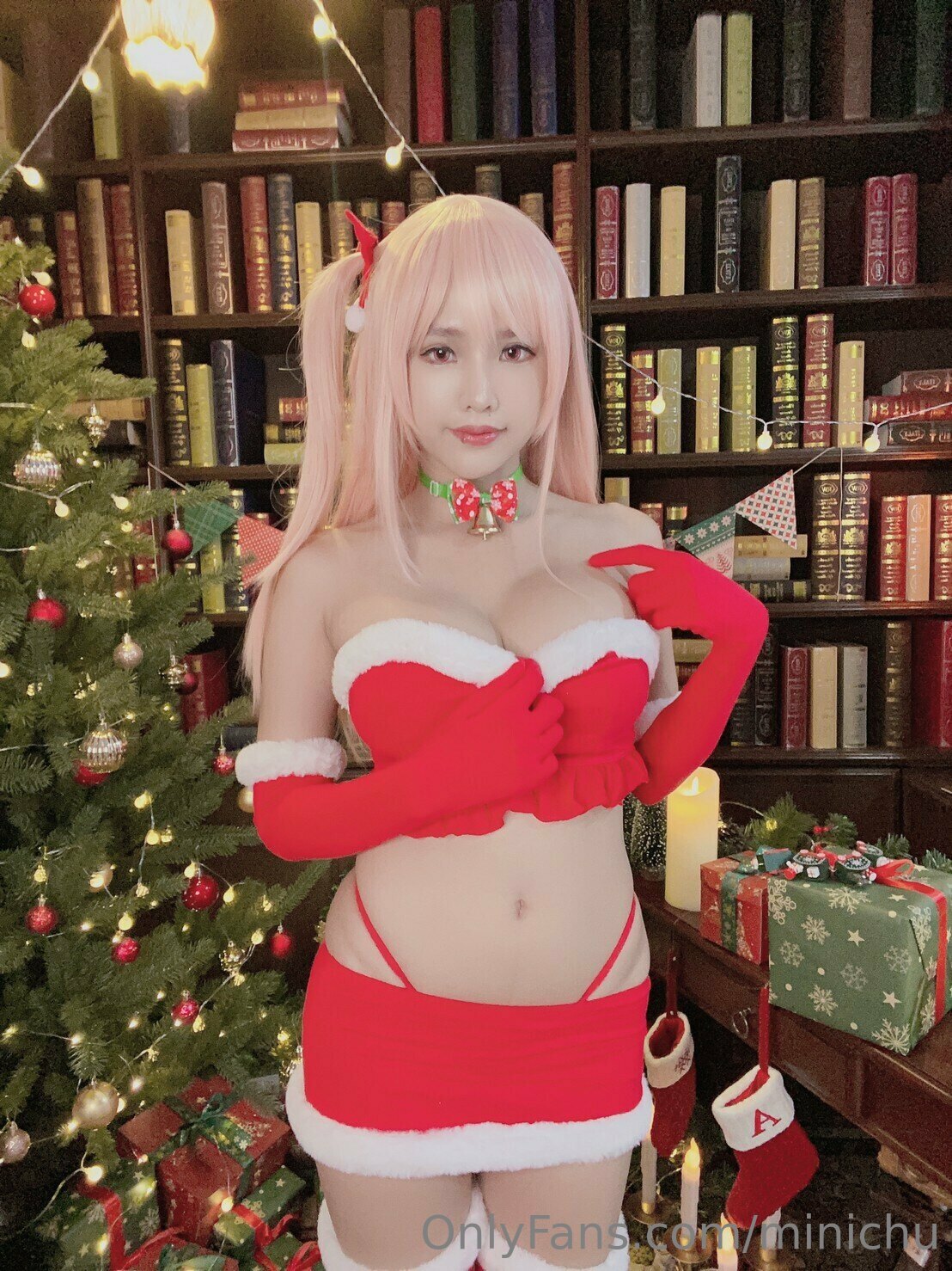 Minichu - Santa Honoka-erohere2.jpg