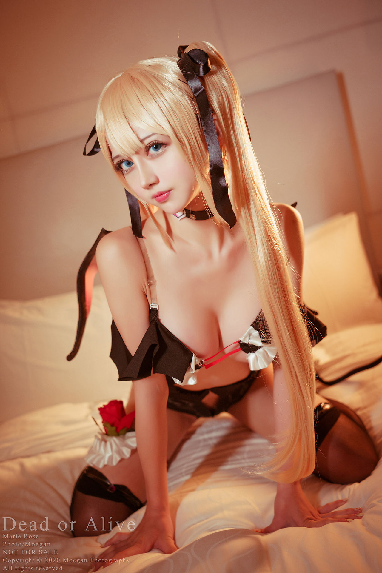 Rinka Marie Rose Little Devil ver. (Dead or Alive)-erohere3.jpg