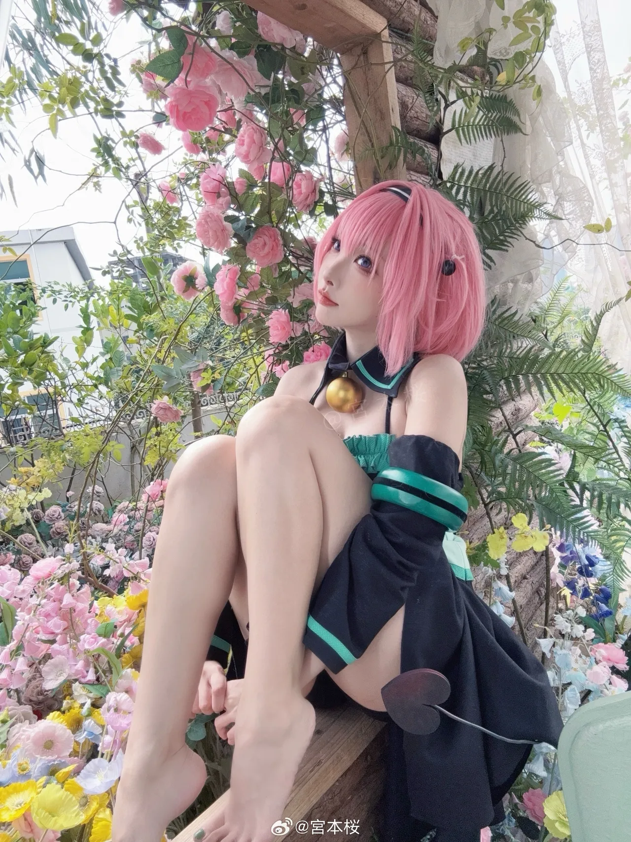 Sakuracyan - Momo-erohere8.webp