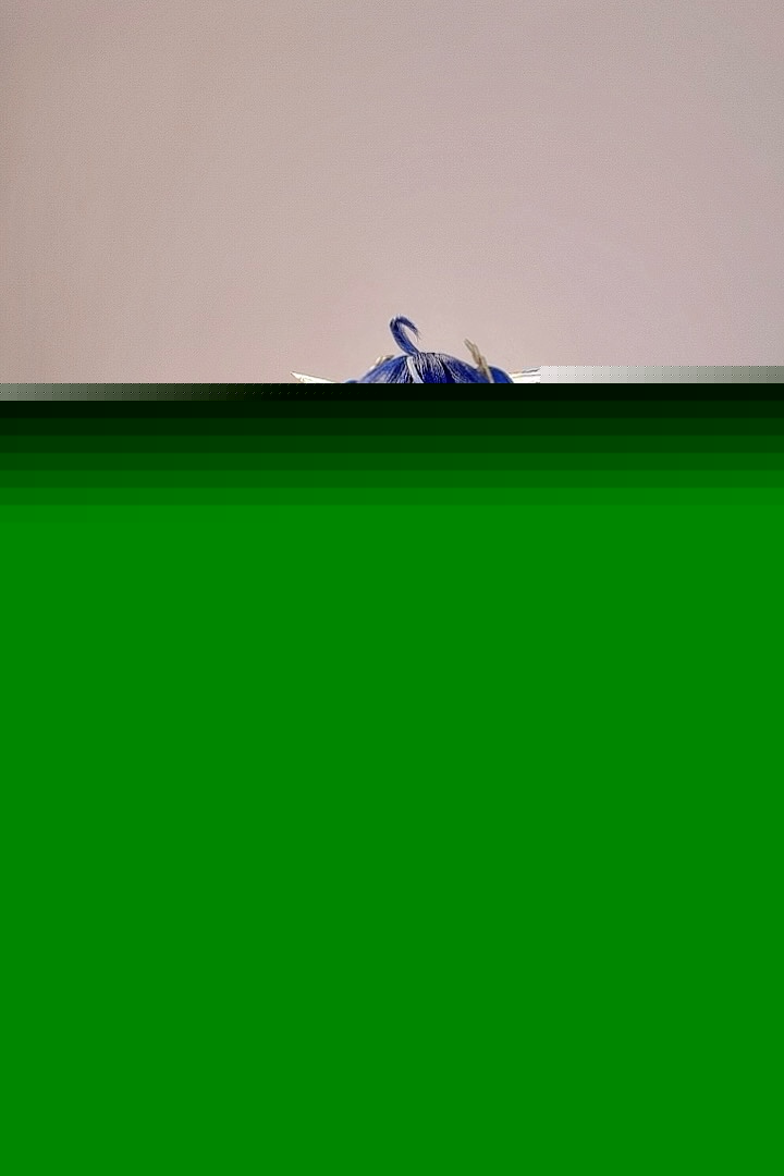 Sayo momo - Iuno (WuWa)-erohere91.jpg