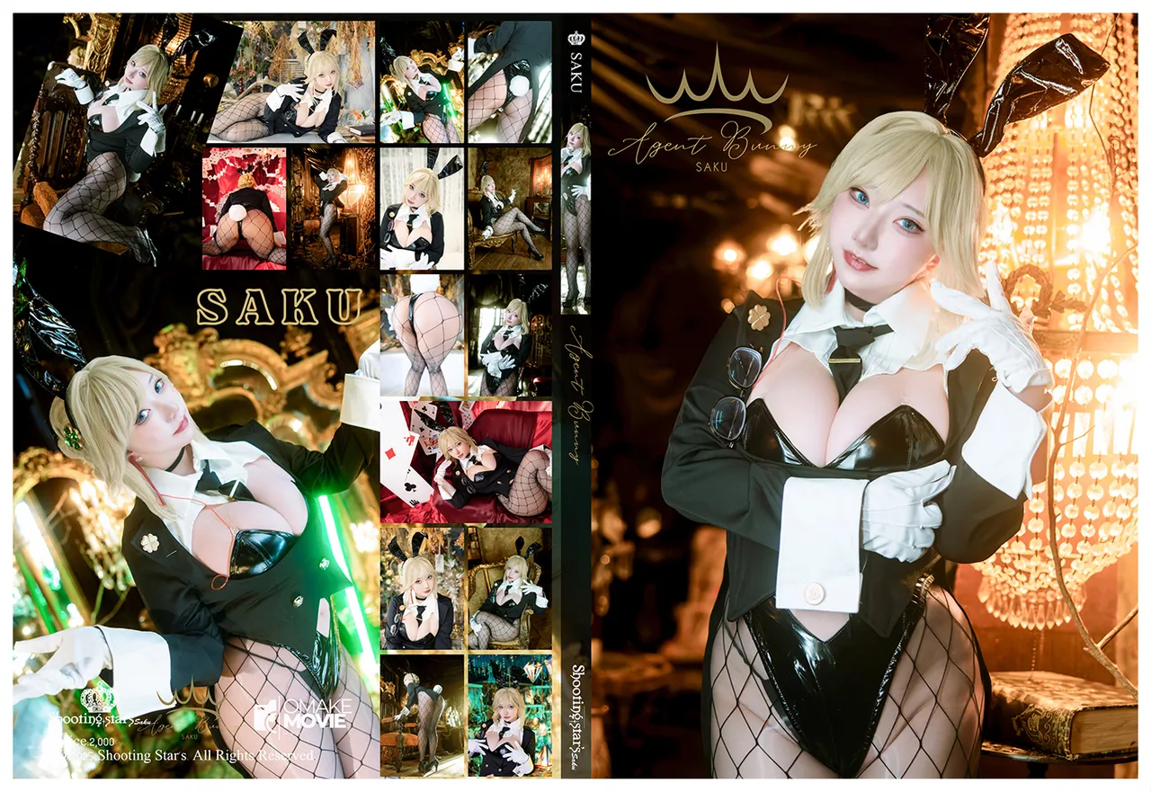 Shooting Star's (Saku) - Agent Bunny